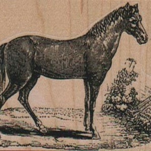 Horse head rubber stamp Stamp Rubber Stamp 8909 cowboy cling stamp, unmounted or wood mounted stamp image 5