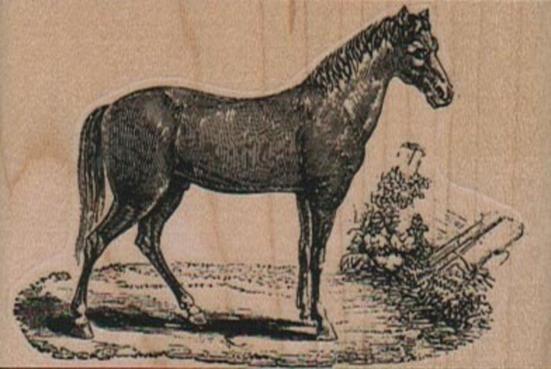 Horse head rubber stamp Stamp Rubber Stamp 8909 cowboy cling stamp, unmounted or wood mounted stamp image 5