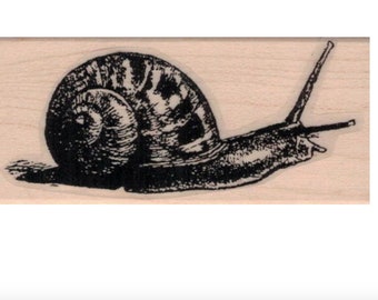 Snail rubber stamp stamps stamping bug insect nature art and craft supplies, Gummistempel   tateam  Item  20414