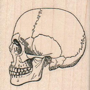 skull and cross bones pirate  rubber stampo Day of the Dead rubber stamps     wood mounted  14687