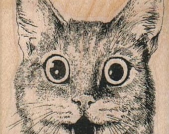 Cat  rubber stamp, wood mounted art and craft supplies   number645