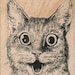 Cat rubber stamp, wood mounted art and craft supplies number645