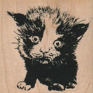 Rubber stamp Scared Cat wood mounted scrapbooking supplies number 9904 image 1