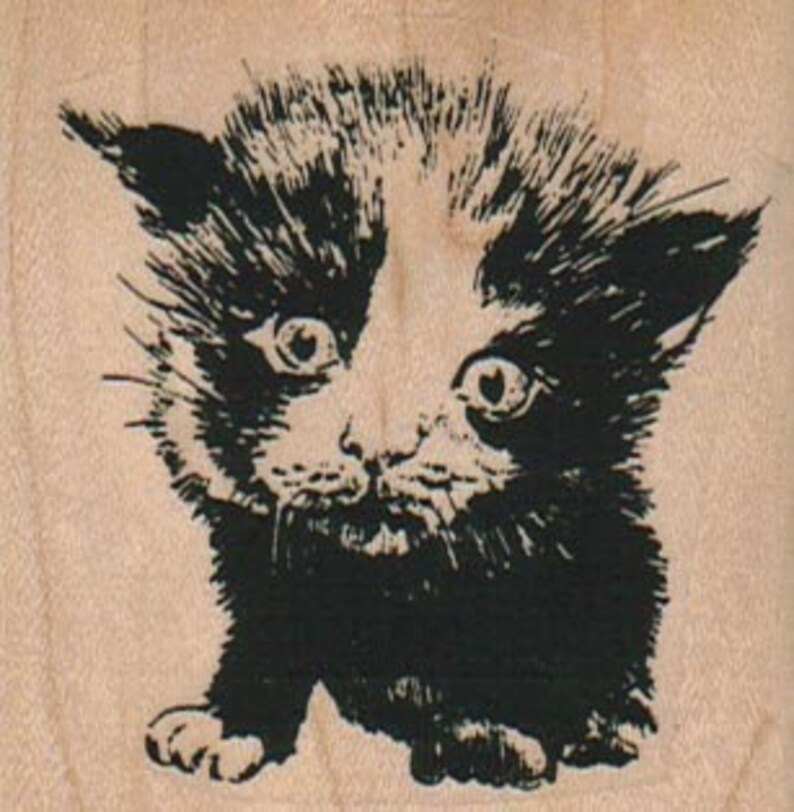 Rubber stamp Scared Cat wood mounted scrapbooking supplies number 9904 image 1