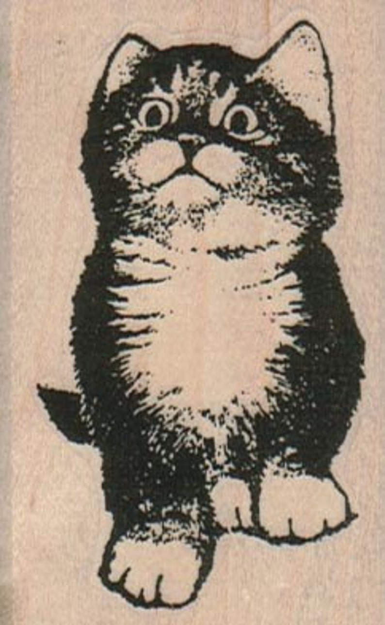 Rubber stamp Scared Cat wood mounted scrapbooking supplies number 9904 image 5