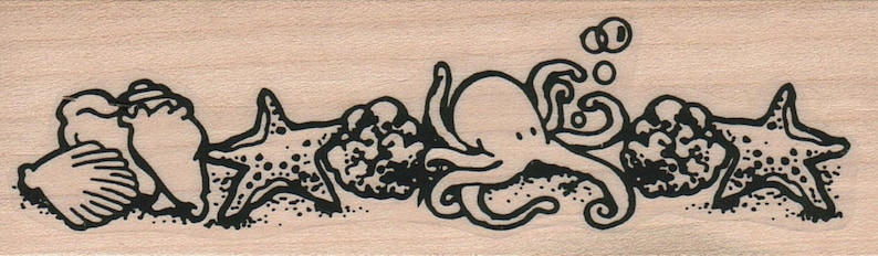 Op de afbeelding: Zwart-witte illustratie van een octopus, een zeester, schelpen en koraal op een lichtbruine achtergrond.