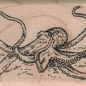 May include: A black and white line drawing of an octopus with eight tentacles. The octopus is drawn in a detailed style with a textured surface.