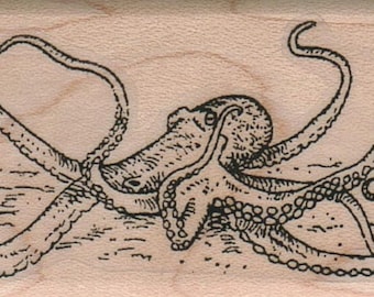 Octopus Squid rubber stamps Rubber stamp wood Octopus   Octopus  2526