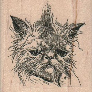 May include: A black and white line drawing of a cat with a grumpy expression. The cat has a long, bushy tail and a thick coat of fur. The cat's eyes are closed and its mouth is slightly open.