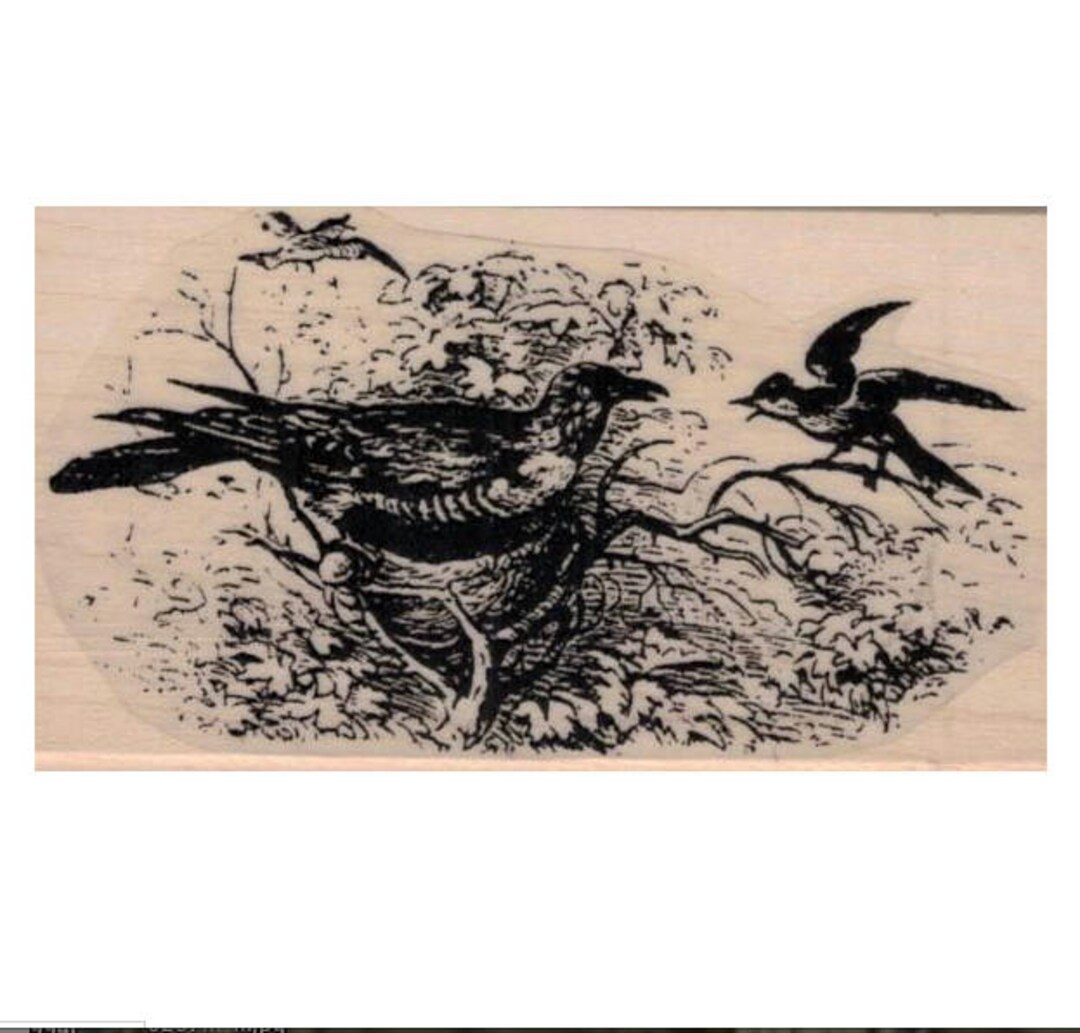 Bird in Birds Nest Rubber Stamps 20084 Stamp Stamping