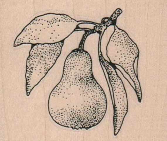 Pear rubber stamp Steampunk Victorian fruit stamping supplies rubber stamp stamp number 9862