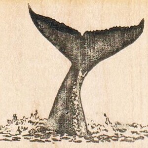 Whale Tail rubber stamps place cards gifts wood mounted 9519 craft supplies scrapbooking image 2