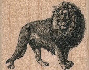 May include: A black and white illustration of a lion with a thick mane. The lion is standing on all fours and looking to the right.
