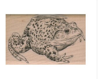 Rubber stamp   frog toad  stamping supplies The Wind in the Willows wood Mounted  scrapbooking supplies  9223