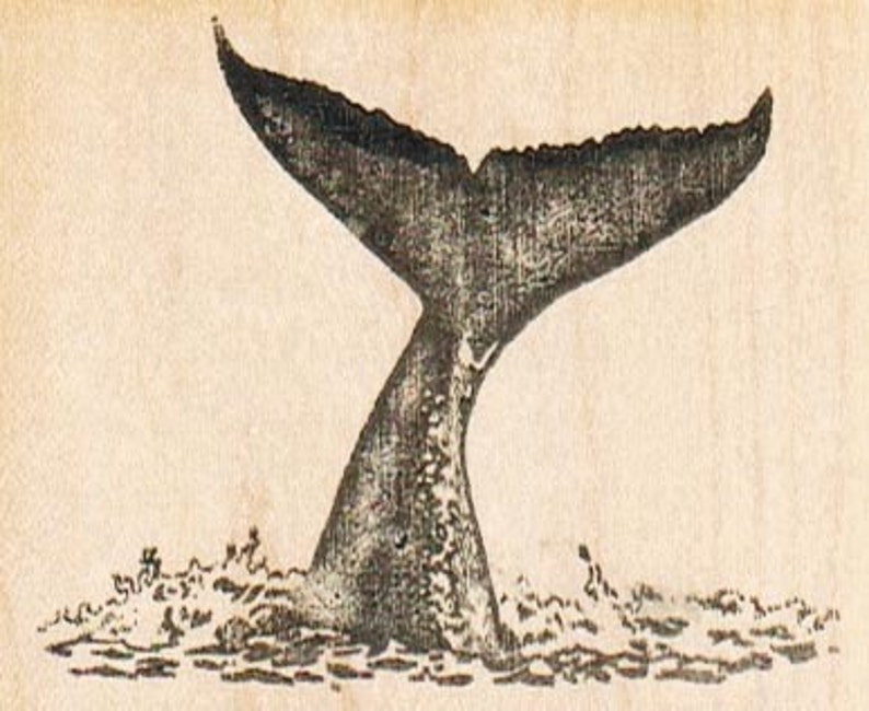 Whale Tail rubber stamps place cards gifts wood mounted 9519 craft supplies scrapbooking image 1