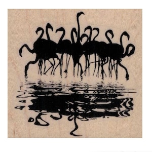 May include: Black silhouette of a flock of flamingos standing in a body of water with their reflections visible in the water.