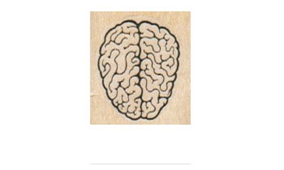 Rubber Stamp Zombie Brains Rubber Stamp Stamp Number 5284 Anatomy