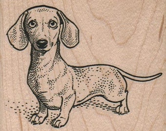 Rubber stamp Wiener Dog Dachshund, Dachshunds, Dogs  wood Mounted  scrapbooking supplies number 1750