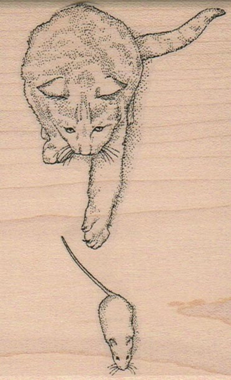 Rubber stamp Scared Cat wood mounted scrapbooking supplies number 9904 image 4