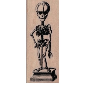 May include: A black and white illustration of a skeleton standing on a pedestal. The skeleton has a large skull and is posed with one hand on its hip. The image is printed on a rectangular wooden block.