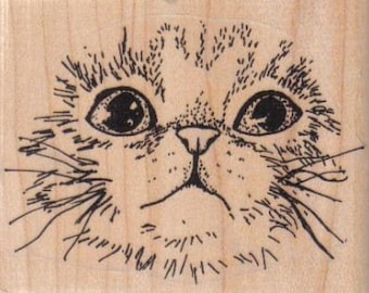 May include: A black and white line drawing of a cat's face. The cat has large, round eyes and a small, pointed nose. The cat's whiskers are visible.
