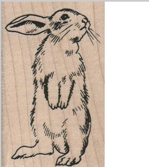 Easter Rabbit Bunny Rubber Stamps Stamping Scrapbooking Etsy