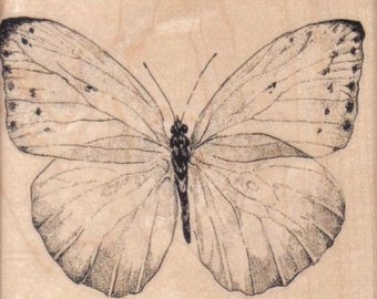 Rubber stamp Butterfly  cling stamp, unmounted or wood Mounted  scrapbooking supplies number 7760