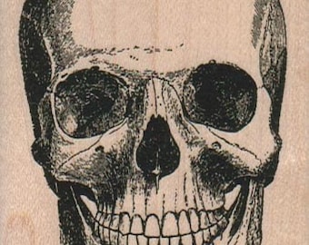 May include: A black and white illustration of a human skull with a detailed drawing of the teeth and eye sockets.