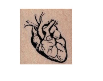 Human heart rubber stamp anatomical medical halloween creepy stamps Cat Kerr  number 20143 wood mounted, unmounted or cling stamp