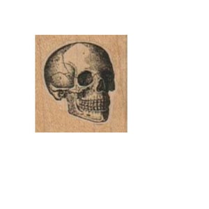 Rubber stamp skull stamps stamping goth Halloween    scrapbooking supplies   12381  tiny small