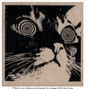 May include: Black and white close-up image of a cat's face with swirling, hypnotic eyes.