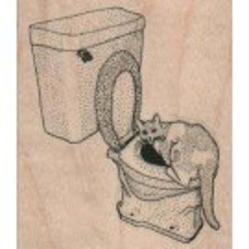 May include: A white cat sitting on a white toilet seat with the lid up. The toilet is white with a chrome handle.