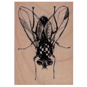 Könnte beinhalten: Schwarz-weiß-Illustration einer Fliege mit einem karierten Muster auf dem Hinterleib.