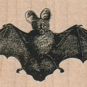 Rubber stamp Halloween vampire bat  wood Mounted  scrapbooking supplies number 16695