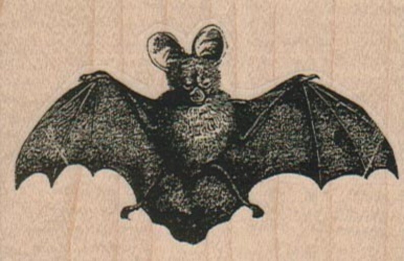 Rubber stamp Halloween vampire coffin scrapbooking supplies number 16618 stamping holiday horror