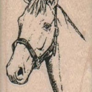 Horse head rubber stamp Stamp Rubber Stamp 8909 cowboy cling stamp, unmounted or wood mounted stamp image 1