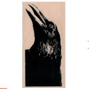 Raven Halloween Rubber stamp bird  side facing up crow bird head face supplies Poe faded crow raven  scrapbooking supplies 20269