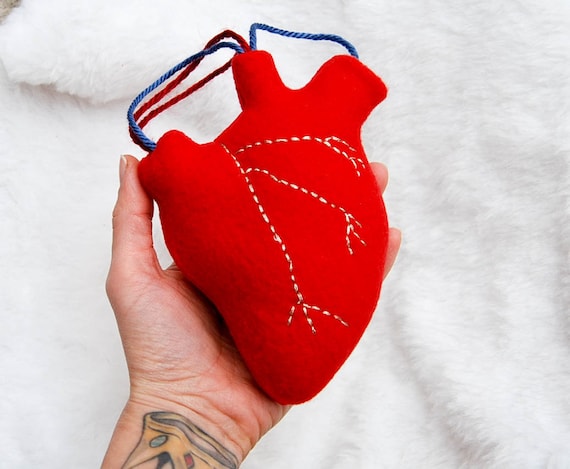 anatomical heart plush