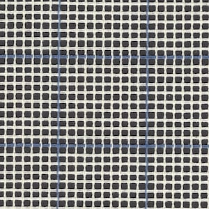 Peut inclure: Toile Aïda blanche avec des lignes de point de croix bleues. Le tissu est un tissu tissé avec un motif en grille.