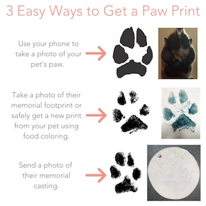May include: Three easy ways to get a paw print of your pet. The image shows three methods: taking a photo of the paw, making a print with food coloring, and sending a photo of a memorial casting.