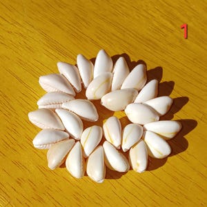 Cowrie Shell Bracelet