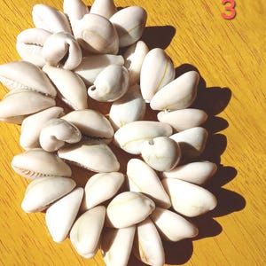 Cowrie Shell Bracelet