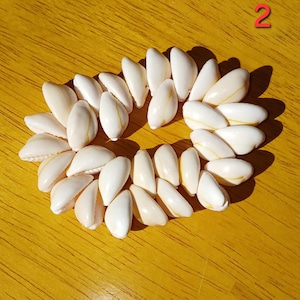 Cowrie Shell Bracelet