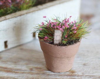 Dolls house miniature pink potted plant