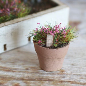 Puppenhaus Miniatur Topfpflanze in rosa