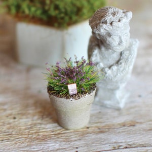 Dolls house miniature purple potted plant