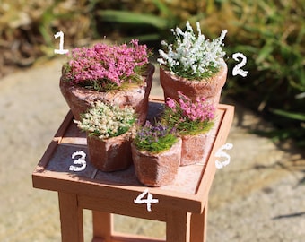 Dolls house miniature potted plants collection in 12th scale