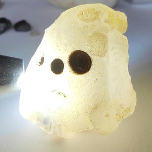 Dual-face bubble agate natural "ghost" & "dog skull" novelty picture stone