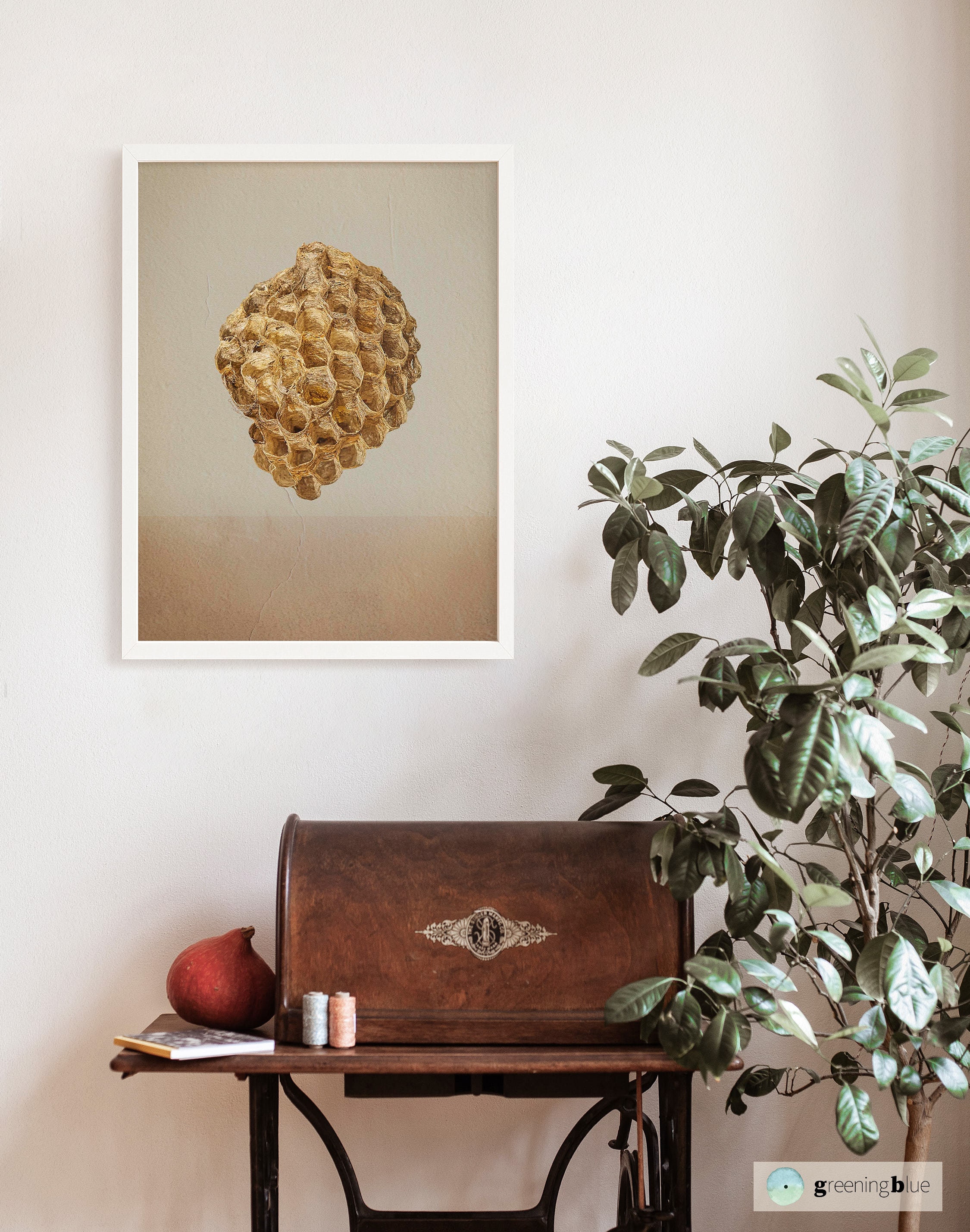 Beehive Wall Decor Art Printable, Honeycomb Poster Natural Print, Honey ...