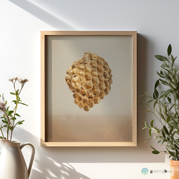 Beehive wall decor Art Printable, Honeycomb poster natural print, Honey bee photo art natural print, Organic wall print download